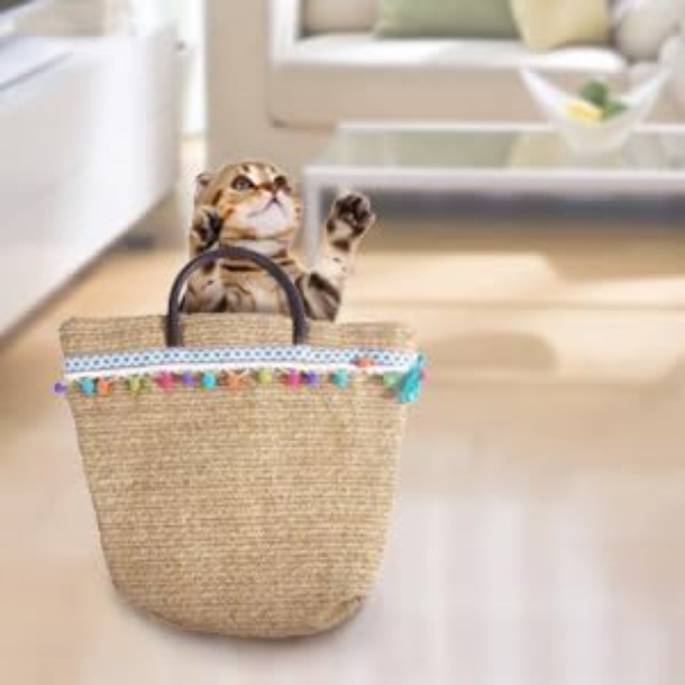 ALL FOR PAWS Cat Crinkle Sack Kitten Tunnel and Hideout Toys, Funny bag…